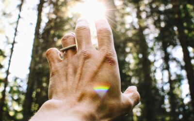Living From Soul: The Path Back Home
