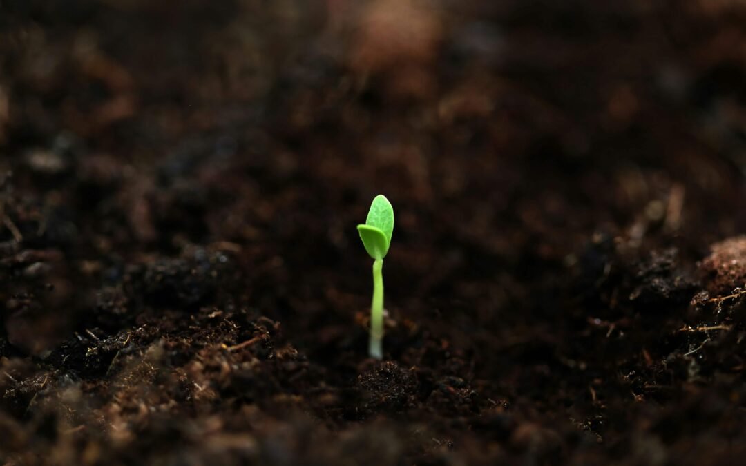Getting Through These Tumultuous Times & Remembering Your Gifts