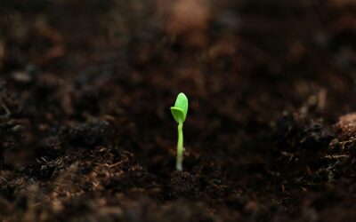 Getting Through These Tumultuous Times & Remembering Your Gifts