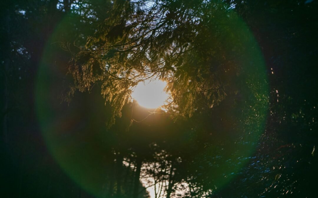 How To Protect Your Heart Without Building Walls Around It