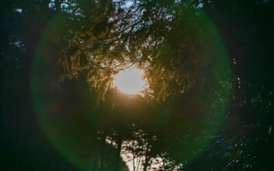 How To Protect Your Heart Without Building Walls Around It